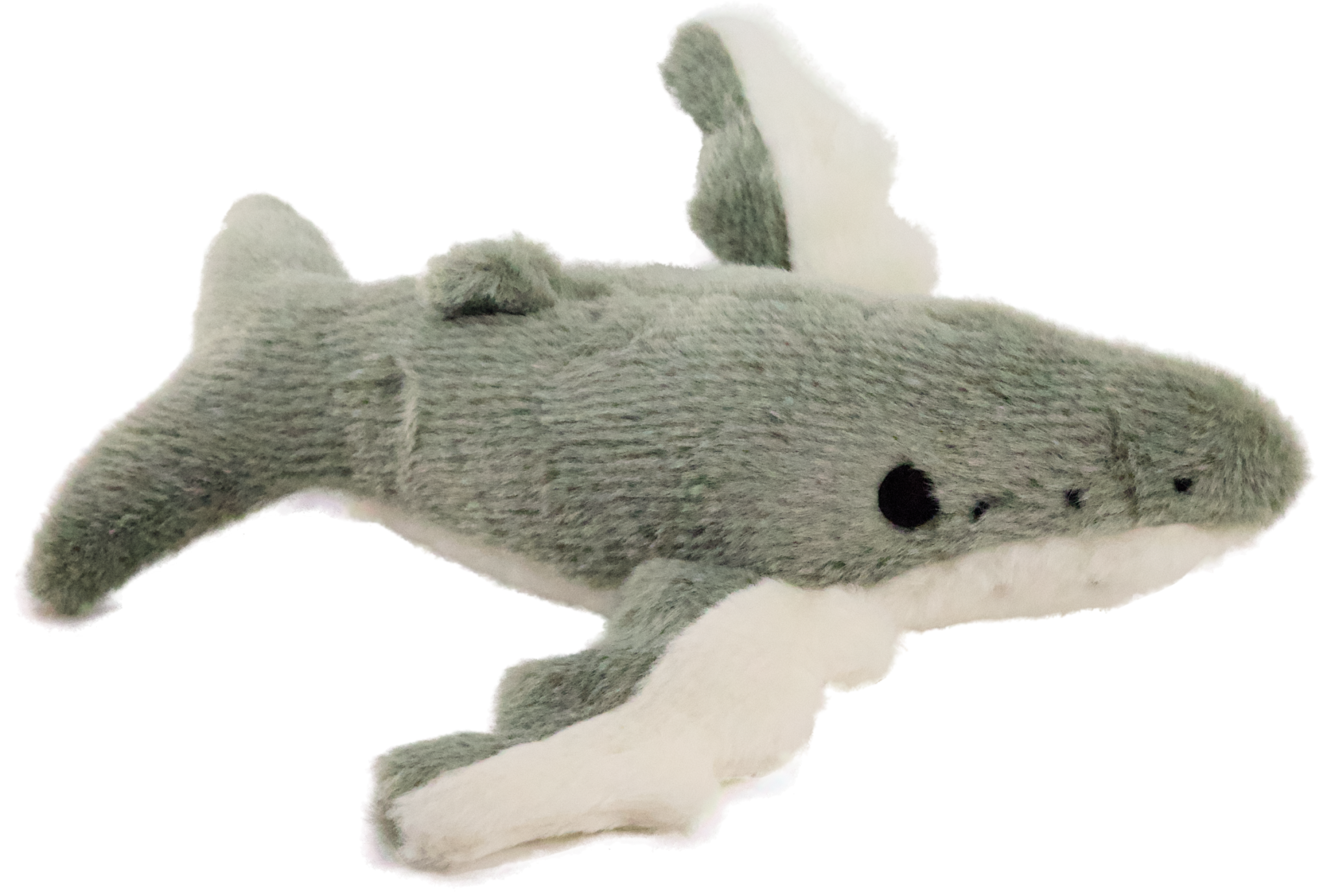 Whale - New