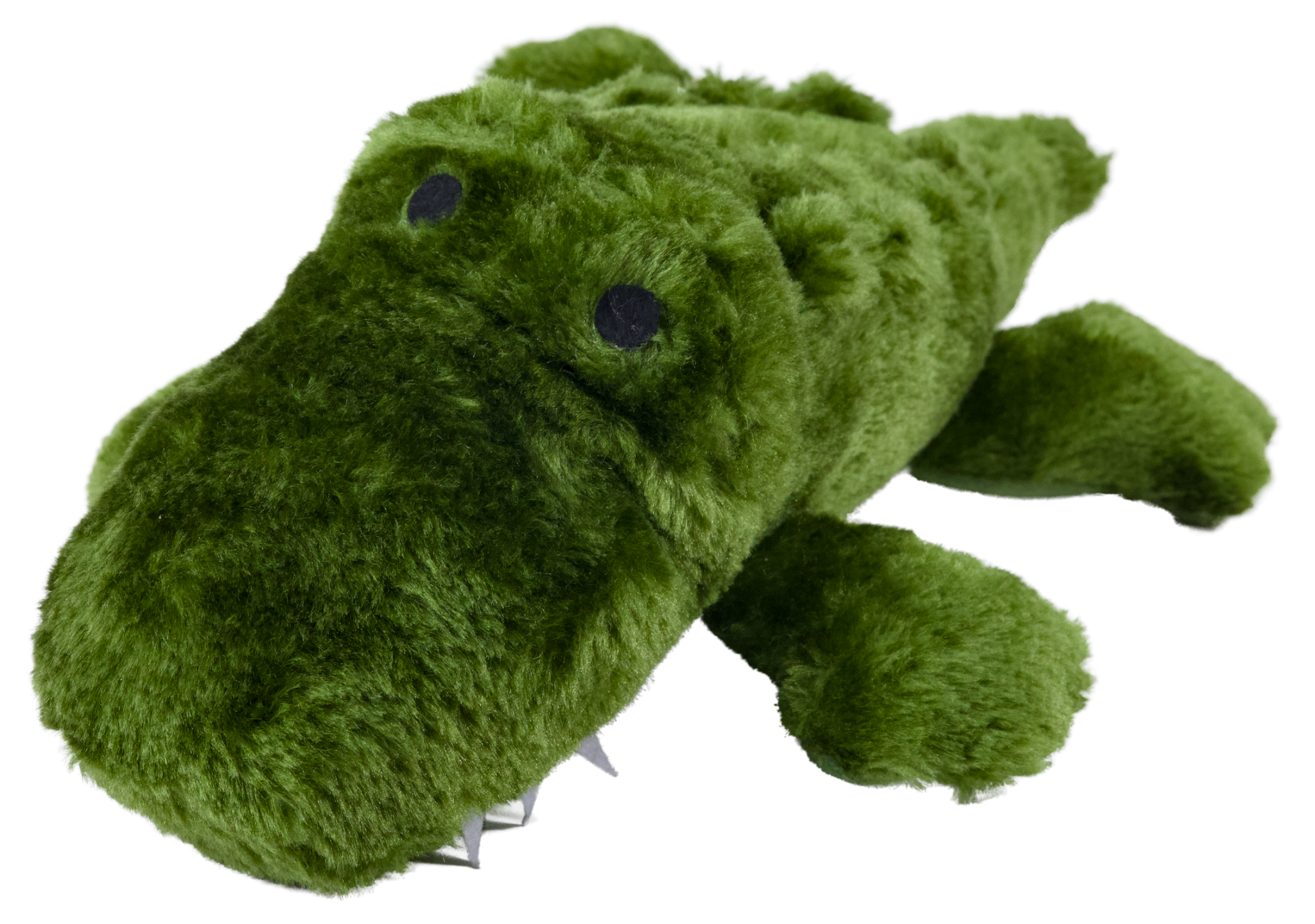 Alligator