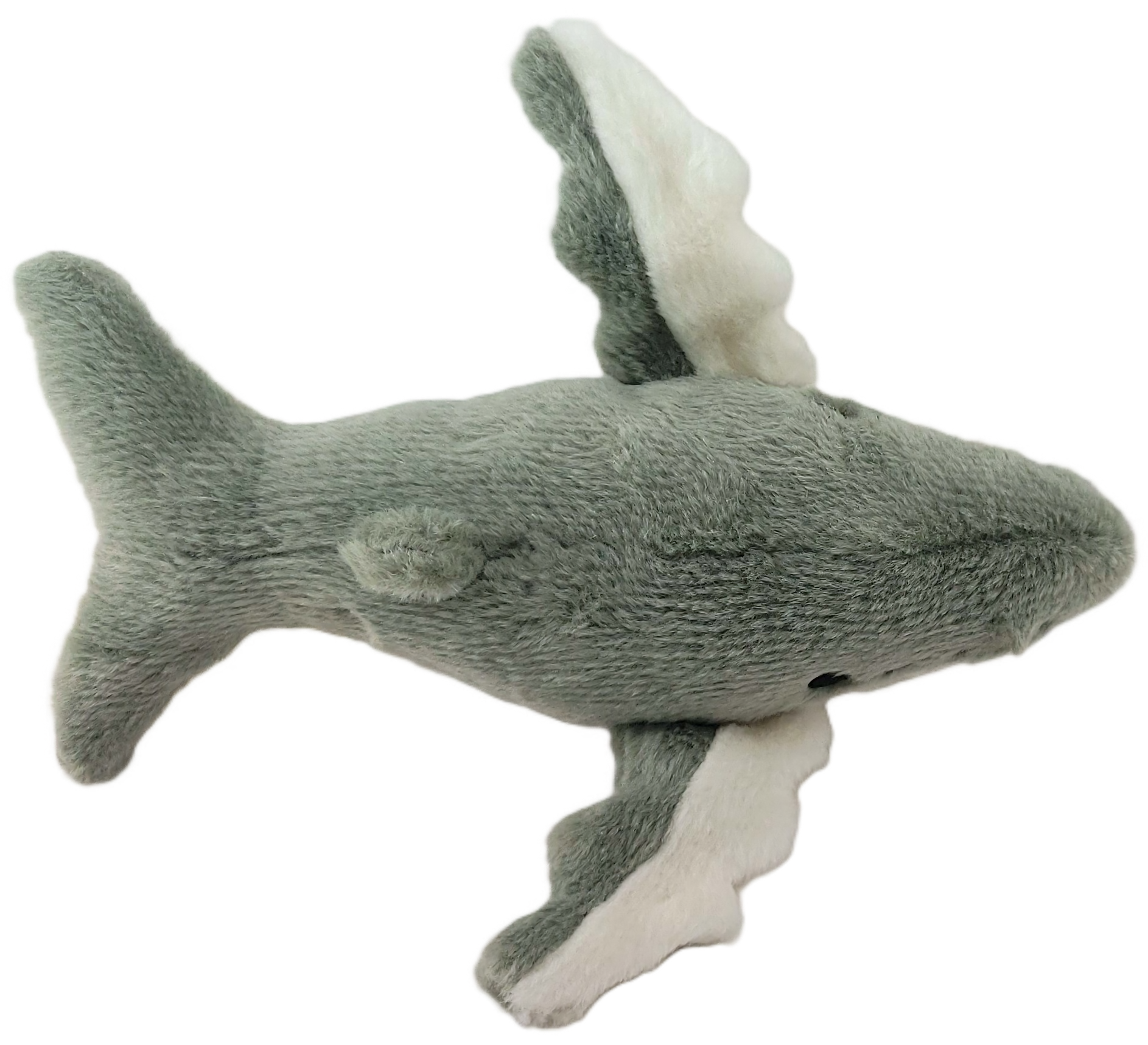 Whale